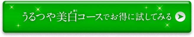 いますぐ注文する